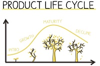 Chu kỳ sống của sản phẩm là gì? Lý thuyết về chu kỳ sống của sản phẩm